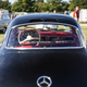 Illustration for article titled These Are The Unforgettable Sights Of The 2019 Goodwood Revival
